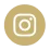 vector (14)
